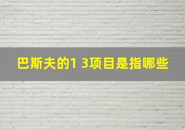 巴斯夫的1 3项目是指哪些